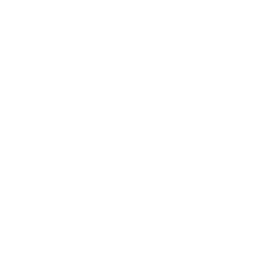 Discord logo white